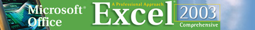 PAS-Excel 2003 Comprehensive