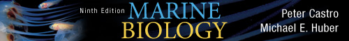 Marine Biology Companion Site