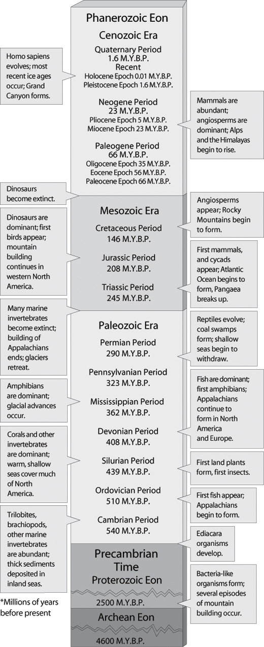 geological time scale chart. The Geologic Time Scale