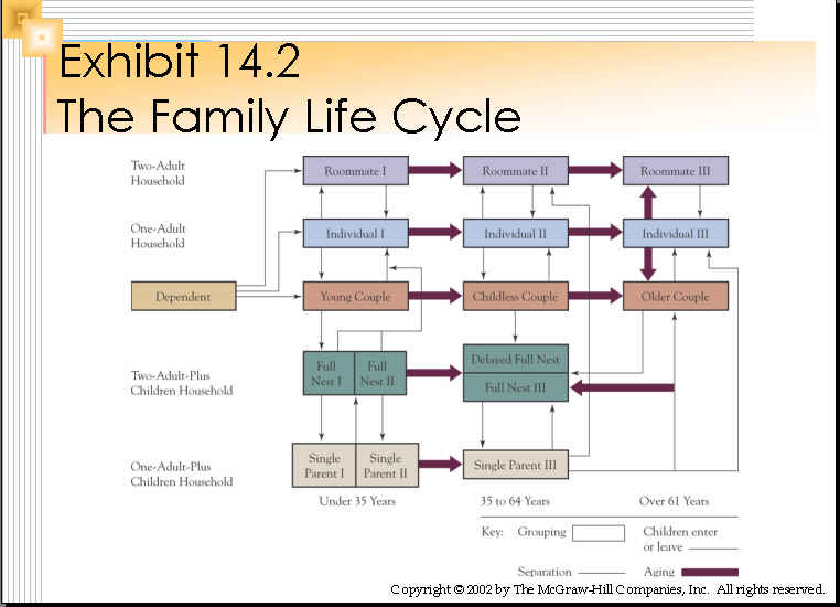 Essay on the family life cycle